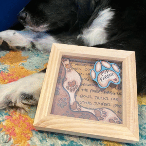 Special Interest Mini Frames